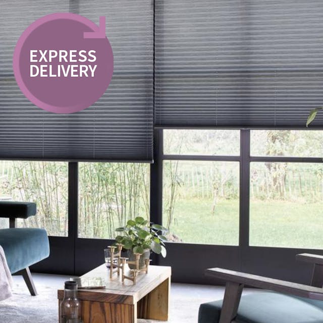 CB Value Pleated Blinds